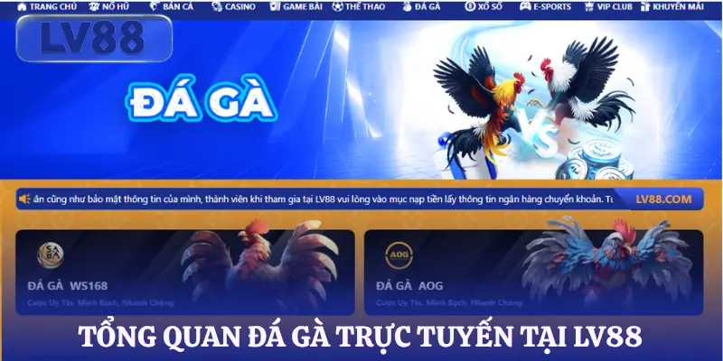 da-ga-lv88-gioi-thieu