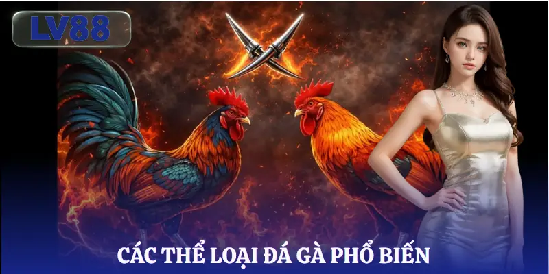 da-ga-lv88-the-loai