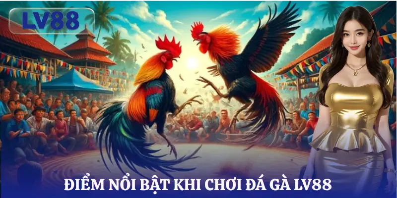 da-ga-lv88-uu-diem