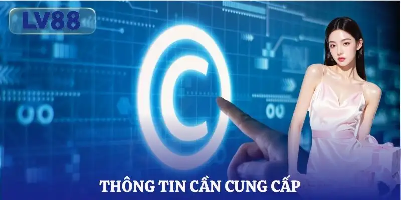 khieu-nai-ban-quyen-dmca-danh-sach-thong-tin-can-cung-cap